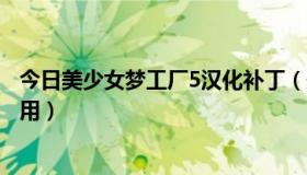 今日美少女梦工厂5汉化补丁（美少女梦工厂5的修改器怎么用）