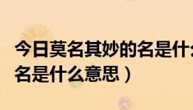 今日莫名其妙的名是什么意思啊（莫名其妙的名是什么意思）