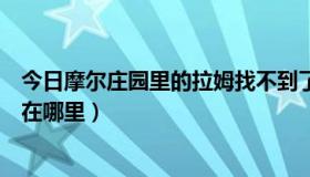 今日摩尔庄园里的拉姆找不到了（摩尔庄园中贝塔的小拉姆在哪里）