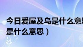 今日爱屋及乌是什么意思百度知道（爱屋及乌是什么意思）