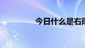 今日什么是右雨刮器结点