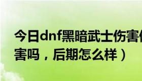 今日dnf黑暗武士伤害偏低（dnf黑暗武士厉害吗，后期怎么样）