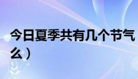 今日夏季共有几个节气（夏季的七个节气是什么）