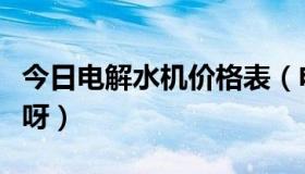 今日电解水机价格表（电解水机的价格是多少呀）
