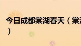 今日成都棠湖春天（棠湖春天的周边情况如何）