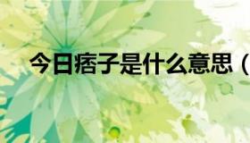 今日痞子是什么意思（痞子是什么意思）
