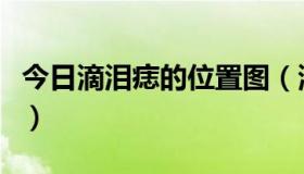 今日滴泪痣的位置图（滴泪痣、的位置和含义）
