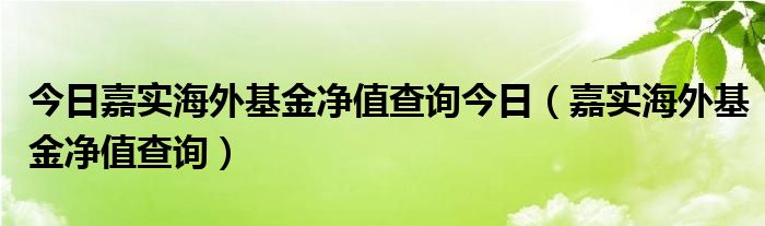 今日嘉实海外基金净值查询今日（嘉实海外基金净值查询）