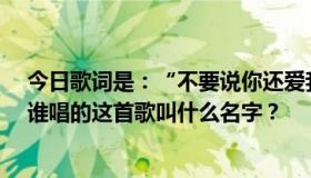今日歌词是：“不要说你还爱我，不要说你心里还有我。”谁唱的这首歌叫什么名字？