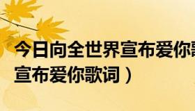 今日向全世界宣布爱你歌词孙子涵（向全世界宣布爱你歌词）