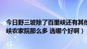 今日野三坡除了百里峡还有其他好玩的地方吗（野三坡百里峡农家院那么多 选哪个好啊）