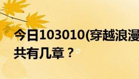 今日103010(穿越浪漫的爱情，深深的雨)一共有几章？