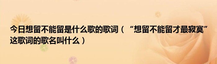 今日想留不能留是什么歌的歌词（“想留不能留才最寂寞”这歌词的歌名叫什么）