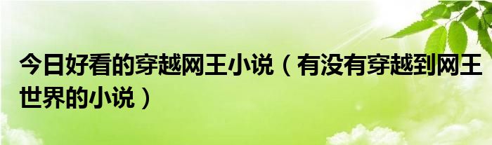 今日好看的穿越网王小说（有没有穿越到网王世界的小说）