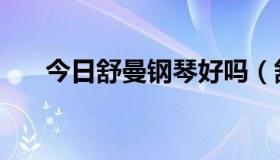 今日舒曼钢琴好吗（舒曼钢琴怎么样）