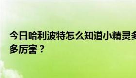 今日哈利波特怎么知道小精灵多比是马尔福的，多比到底有多厉害？
