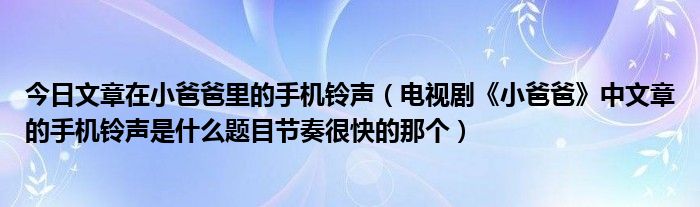 今日文章在小爸爸里的手机铃声（电视剧《小爸爸》中文章的手机铃声是什么题目节奏很快的那个）