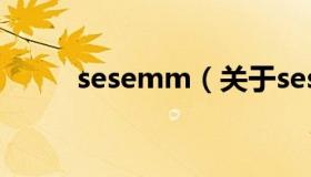 sesemm（关于sesemm的介绍）