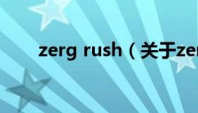 zerg rush（关于zerg rush的介绍）