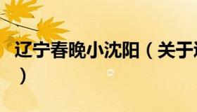 辽宁春晚小沈阳（关于辽宁春晚小沈阳的介绍）