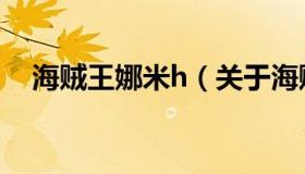 海贼王娜米h（关于海贼王娜米h的介绍）
