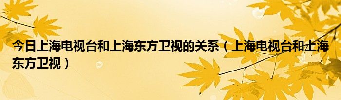 今日上海电视台和上海东方卫视的关系（上海电视台和上海东方卫视）