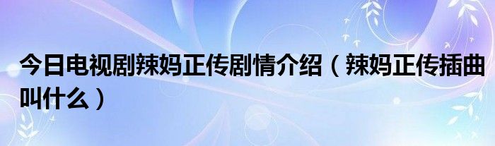 今日电视剧辣妈正传剧情介绍（辣妈正传插曲叫什么）