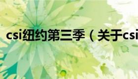 csi纽约第三季（关于csi纽约第三季的介绍）