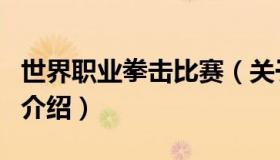 世界职业拳击比赛（关于世界职业拳击比赛的介绍）