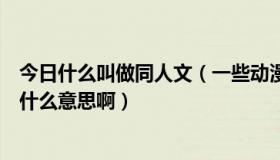 今日什么叫做同人文（一些动漫或者是小说中提到的同人是什么意思啊）