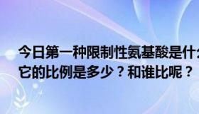 今日第一种限制性氨基酸是什么？我不知道这是什么意思。它的比例是多少？和谁比呢？