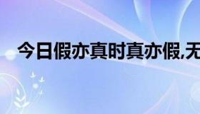 今日假亦真时真亦假,无为有处有还无意思