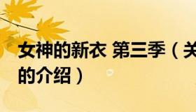 女神的新衣 第三季（关于女神的新衣 第三季的介绍）