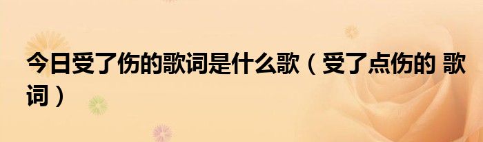 今日受了伤的歌词是什么歌（受了点伤的 歌词）