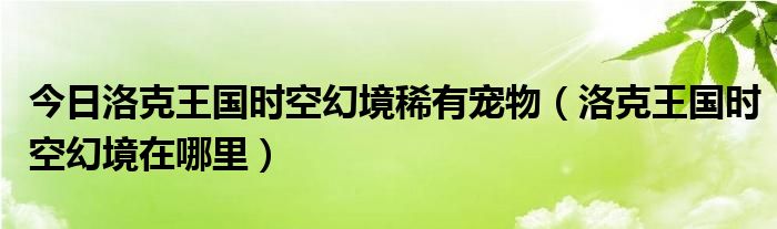 今日洛克王国时空幻境稀有宠物（洛克王国时空幻境在哪里）