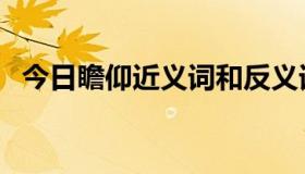 今日瞻仰近义词和反义词（瞻仰的近义词）