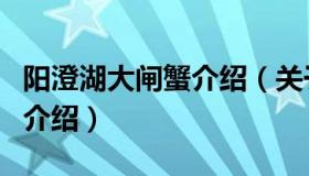 阳澄湖大闸蟹介绍（关于阳澄湖大闸蟹介绍的介绍）