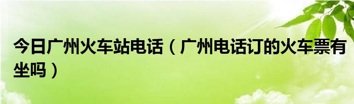 今日广州火车站电话（广州电话订的火车票有坐吗）