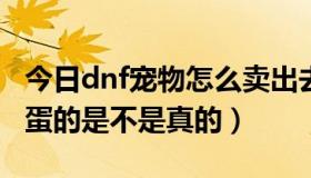 今日dnf宠物怎么卖出去（DNF淘宝上卖宠物蛋的是不是真的）