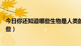 今日你还知道哪些生物是人类的好老师（人类的好老师有哪些）