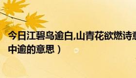 今日江碧鸟逾白,山青花欲燃诗意（江碧鸟逾白，山青花欲燃中逾的意思）
