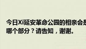 今日Xi延安革命公园的相亲会是真的吗？具体地址是公园的哪个部分？请告知，谢谢。