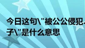 今日这句