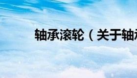 轴承滚轮（关于轴承滚轮的介绍）