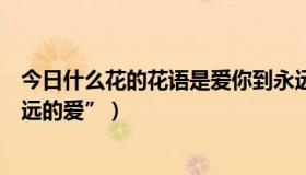 今日什么花的花语是爱你到永远（什么花的花语为“长久永远的爱”）