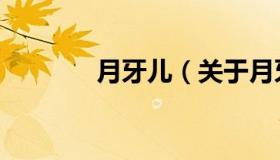 月牙儿（关于月牙儿的介绍）