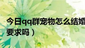 今日qq群宠物怎么结婚（QQ宠物结婚有什么要求吗）