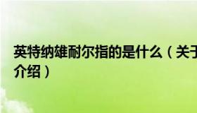 英特纳雄耐尔指的是什么（关于英特纳雄耐尔指的是什么的介绍）