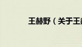 王赫野（关于王赫野的介绍）