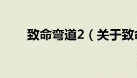 致命弯道2（关于致命弯道2的介绍）